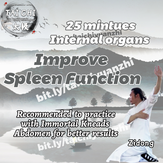 25mins Internal organs • Improve Spleen Function